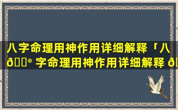 八字命理用神作用详细解释「八 💮 字命理用神作用详细解释 🕸 大全」